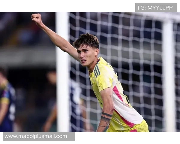 弗拉霍维奇的崛起之路：从天才少年到欧洲足坛新星的传奇故事