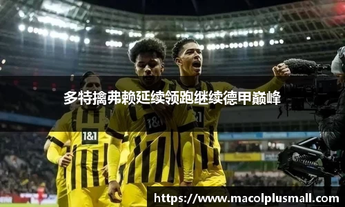 多特擒弗赖延续领跑继续德甲巅峰